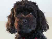 /album/photogallery/img-0009-jpg/